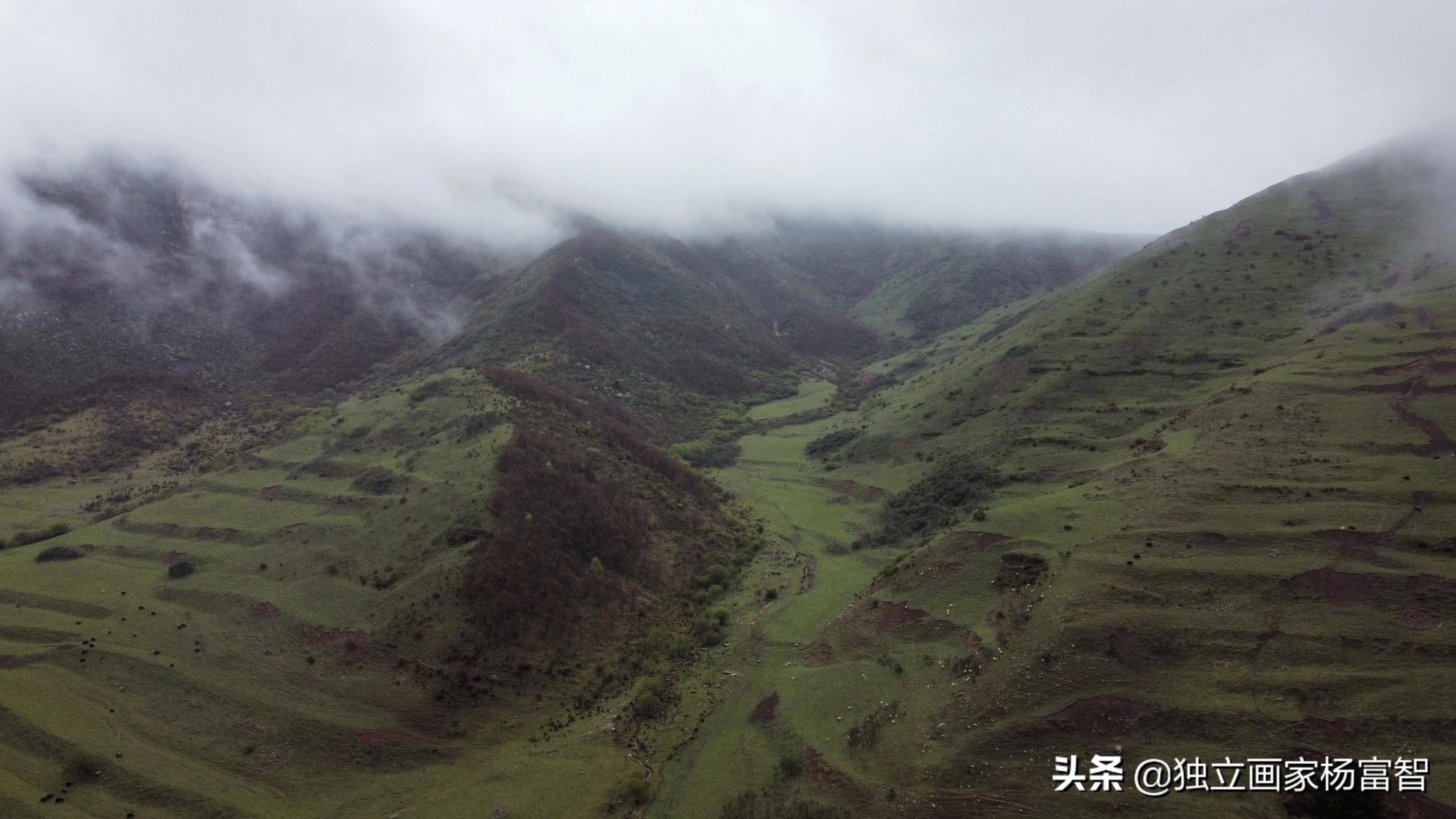 七律《雨中游石门雪山》_杨富智