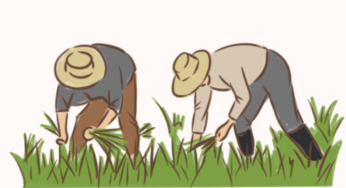 这个憨厚的庄稼汉,给我们每个人都安上了"书记"的职务,即使我一再地