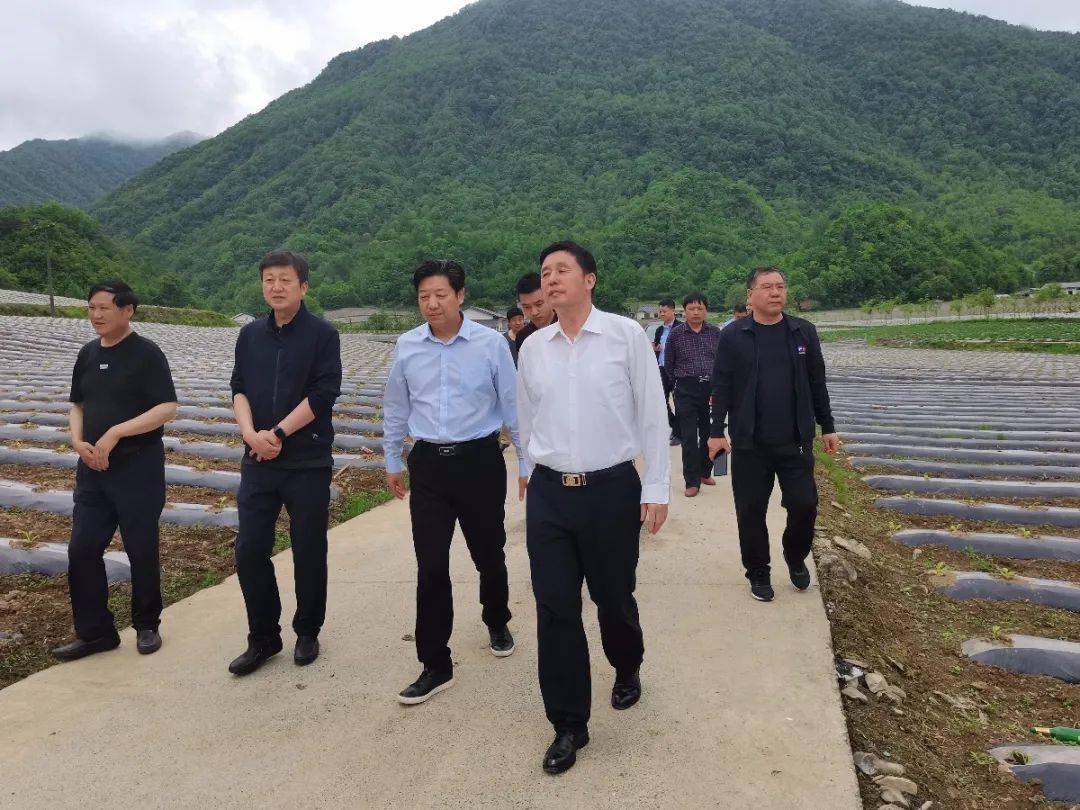 佘立柱率队开展巩固拓展脱贫攻坚成果与乡村振兴有效衔接专题调研