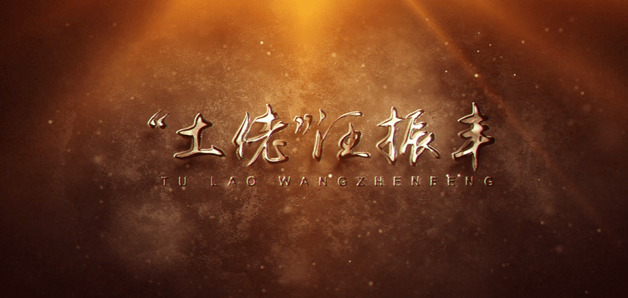 片名:《"土佬"汪振丰》