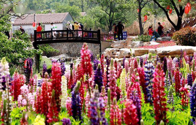 赏花地图 五月花季 给你一个七彩的初夏 地点
