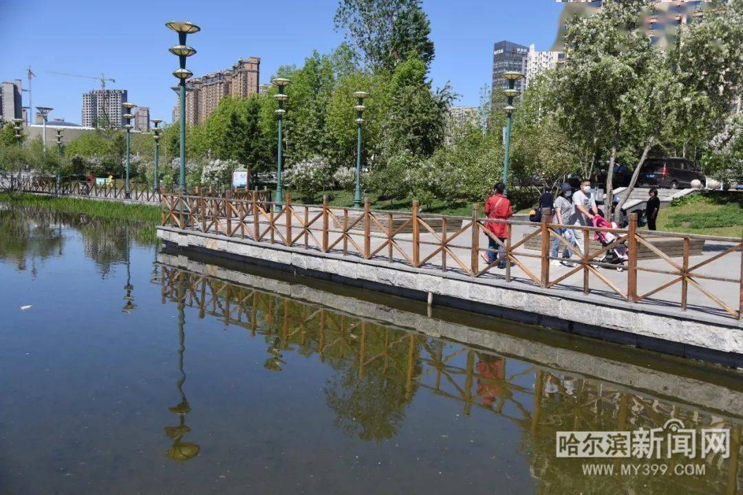 最美画卷看这里哈尔滨市群力4个公园水系陆续注水碧波荡漾