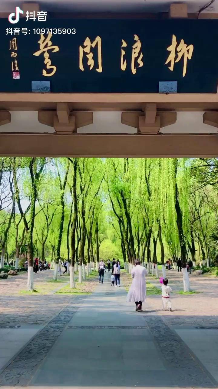 西湖十景之五柳浪闻莺大家了解一下