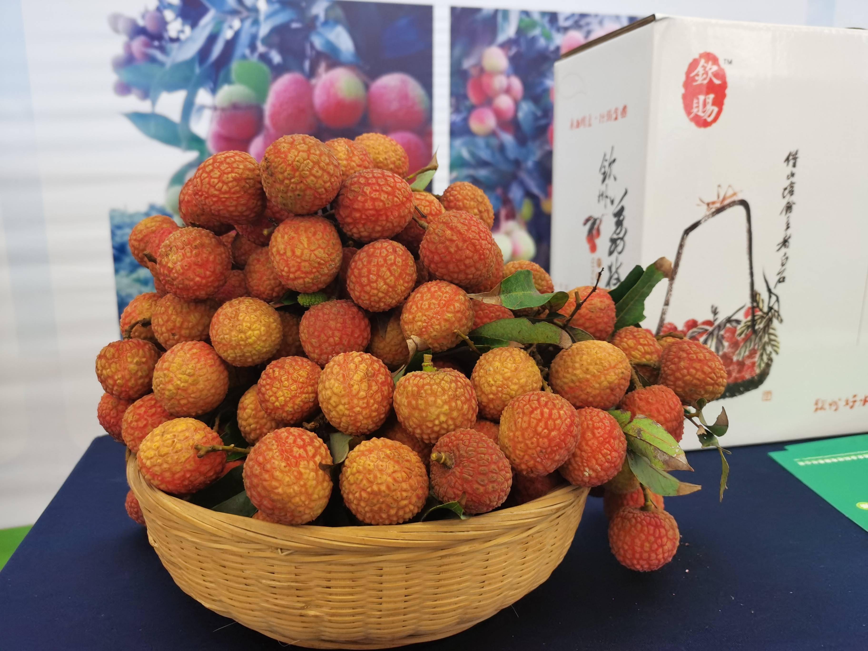 打造荔枝品牌,广西钦州将举办灵山荔枝节