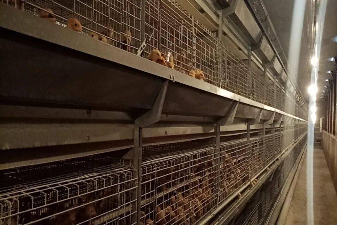 【旗县动态】土左旗 扎兰屯市 苏尼特右旗