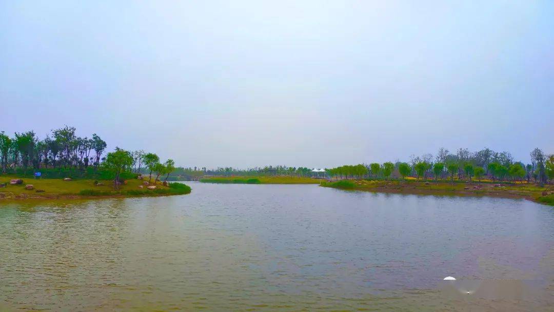 不知道還有多少人記得《杜詩溼地生態公園》這個稱呼,從施工到現在,這