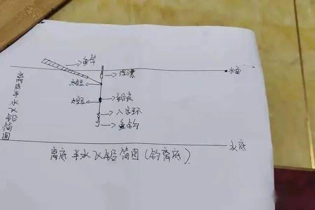 d3b113fe8b78463ba4cfdcbafc91b763.jpeg