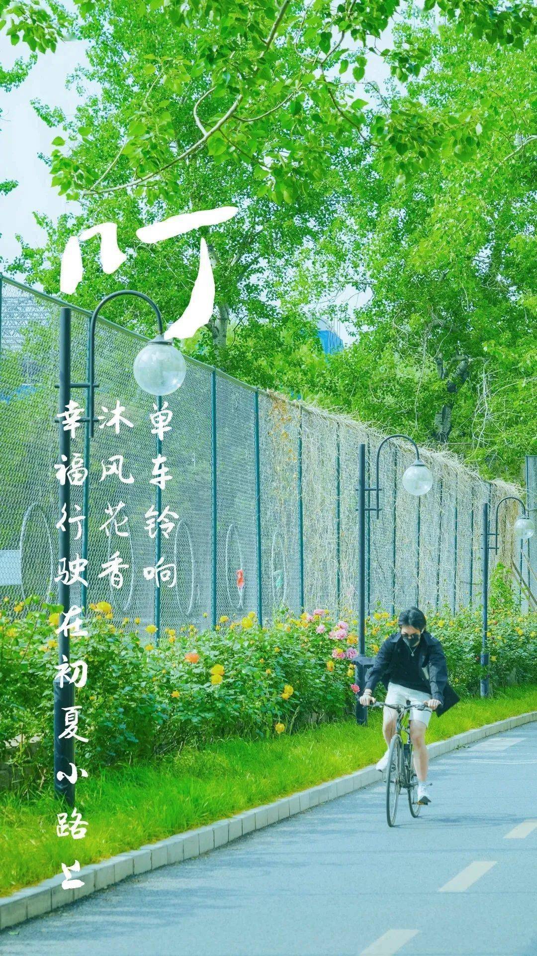 我在阶前等风也等你气温跟着爬山虎升高满眼碧色 一路芬芳清风微拂凉