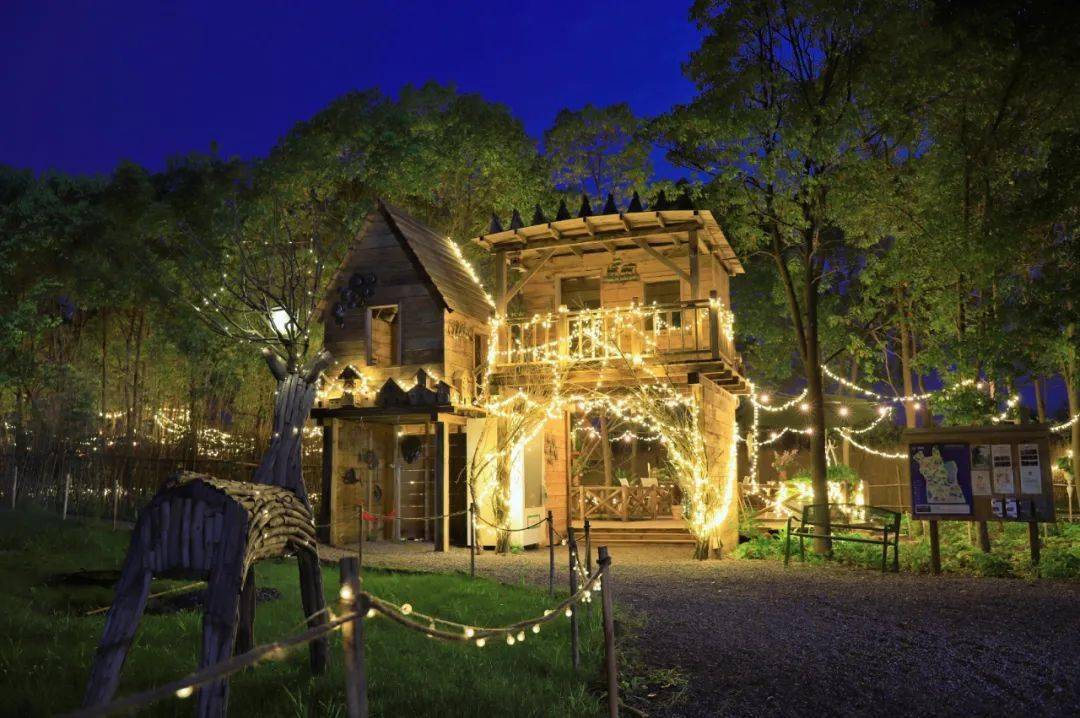 星球花园合肥市人大代表沈保山的创业史志