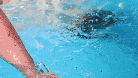 欢乐一夏 鱼 乐无限 海通 衡州府真人版抓鱼活动欢乐来袭 抽奖