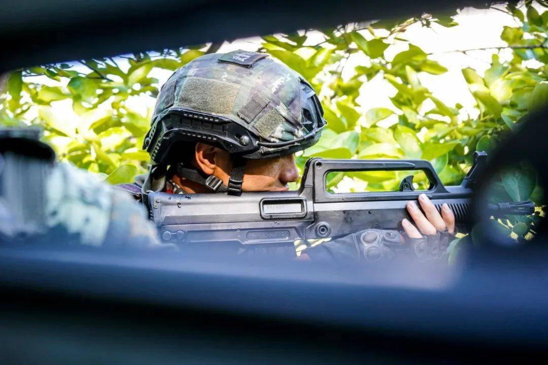 抓地草图片 b64016cc1a294402bbcfd474cc88c039.jpeg