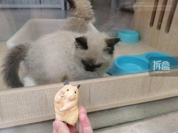 动物星球 沙雕系列 畠山翔平 比耶仓鼠 gk雕像潮玩摆件