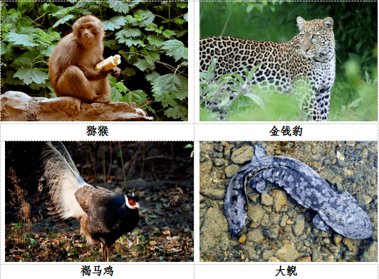 4cb18ec70db44dcdb6d92c40fb2815ca.png