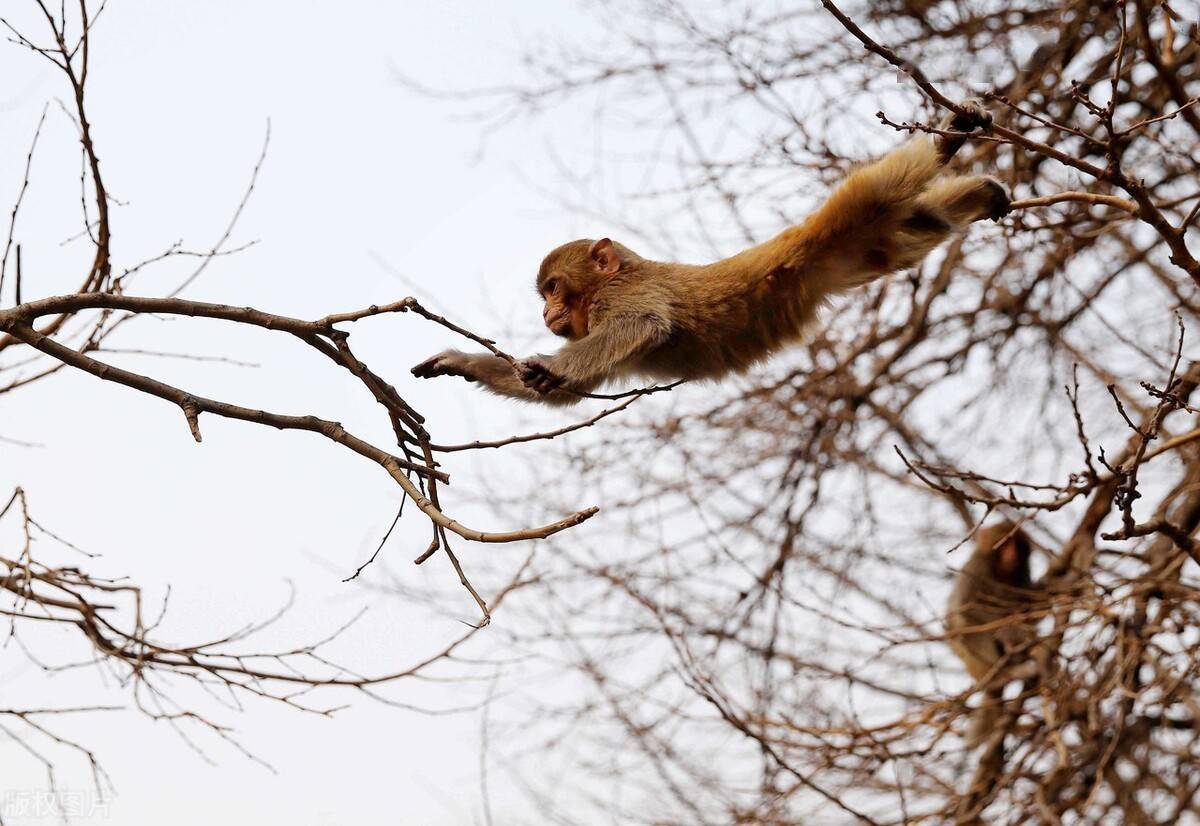在量子力学里 为什么观测会导致波函数的塌缩 实验