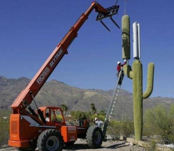 上海|5G基站有害健康？“伪装者”基·72变·站 表示委屈