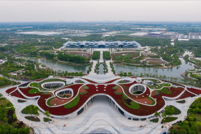 盛世花开丨1138天后梦圆绽放