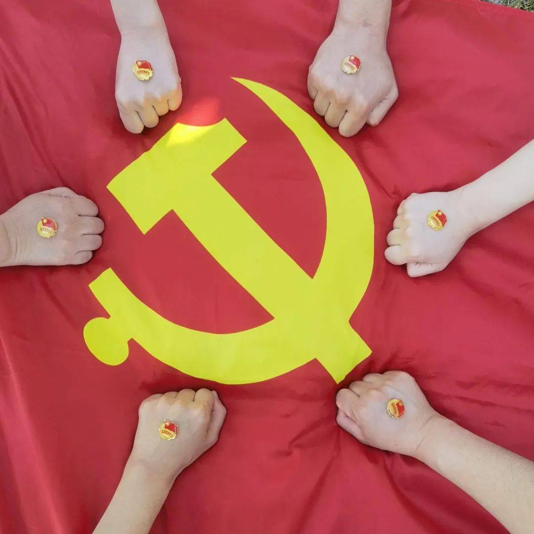 多彩基层丨520鄂尔多斯青年与党旗同框向党表白