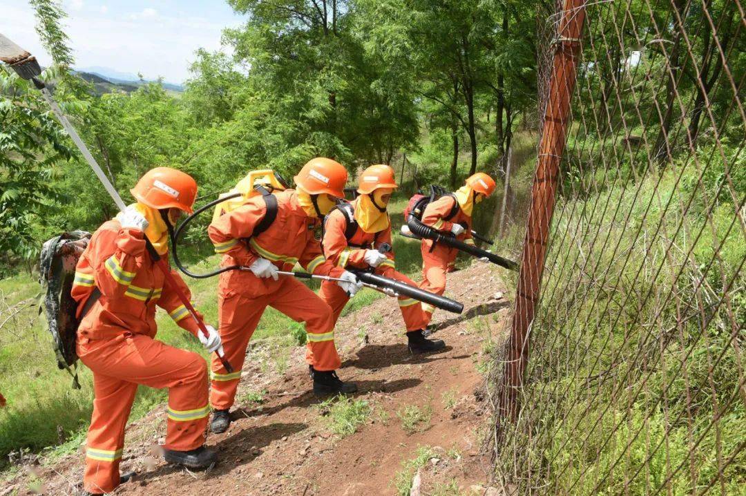 总队组织青岛片区森林火灾跨区域灭火救援实战拉动演练