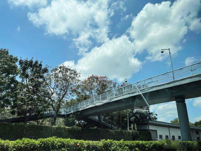 恭喜龚俊成功卡得一手5201314好点沉睡花园拍摄地取景送上520明信片