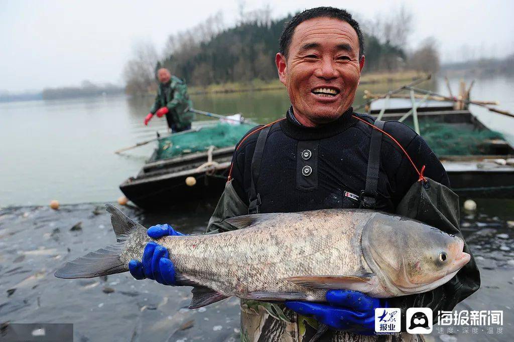 滕州人看过来:岩马湖捕鱼节明日开幕 "鱼王竞拍"即将上演!