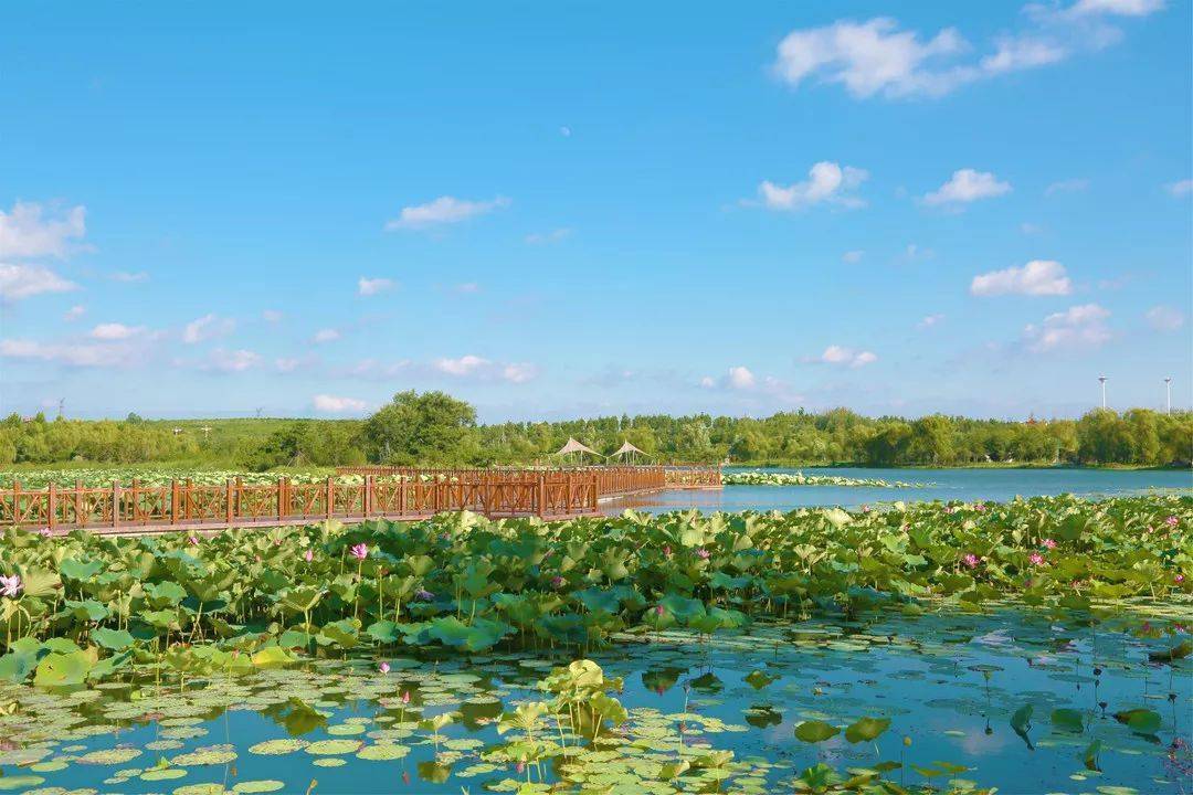 明天就在明天厉家寨樱桃节盛大开幕错过再等一年内附最全攻略