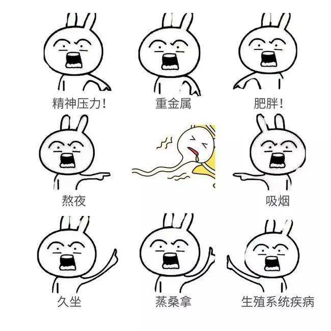 704cf6a633cf4103b8f9ca17c36d73e8