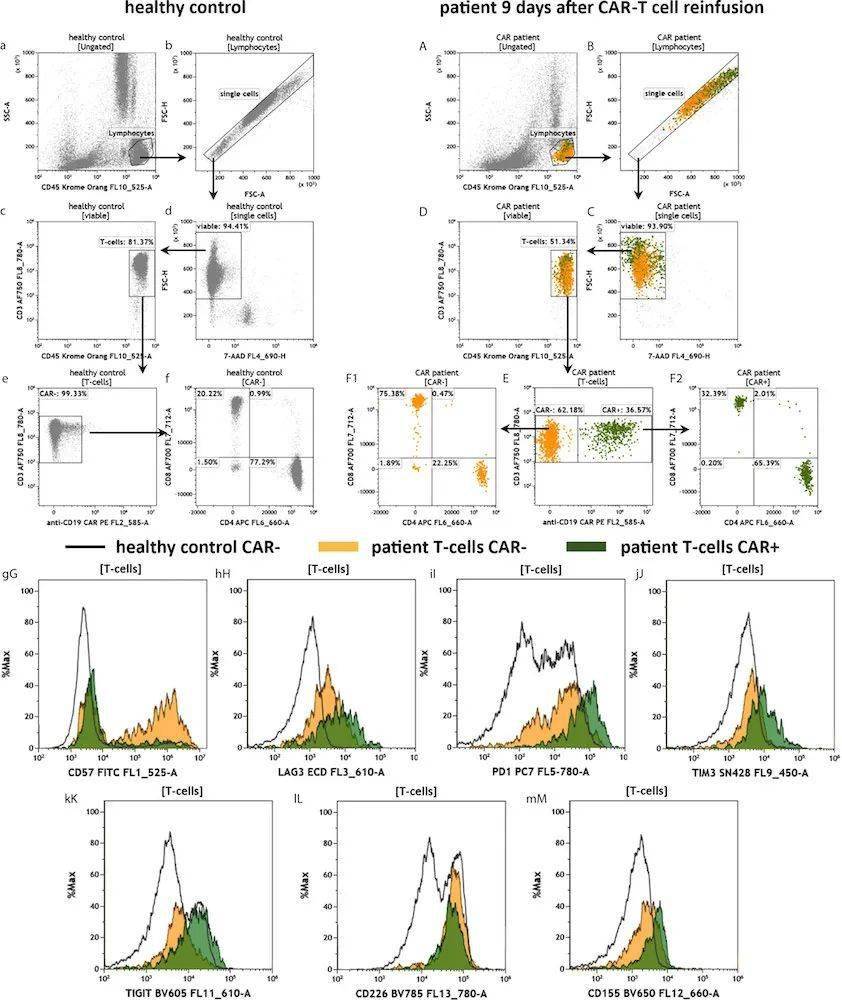 cd19cart治疗患者的免疫监测方案和分析设门分享