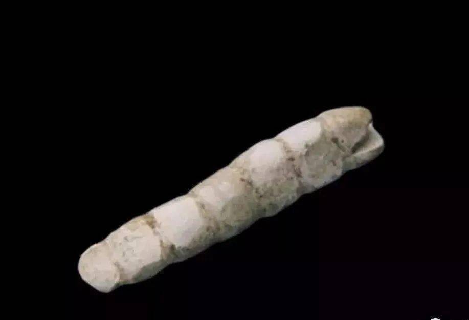 竹园沟西周墓出土 玉蚕