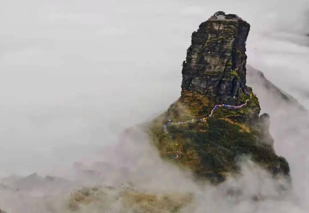 老金顶 34d6f6ce406746f1bf25794534f57af9.jpeg