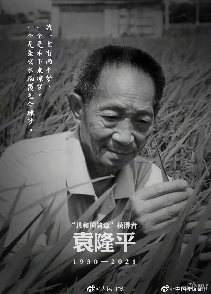 中国人|袁隆平：“你们年轻人不知道，肚子饿起来真难受。”
