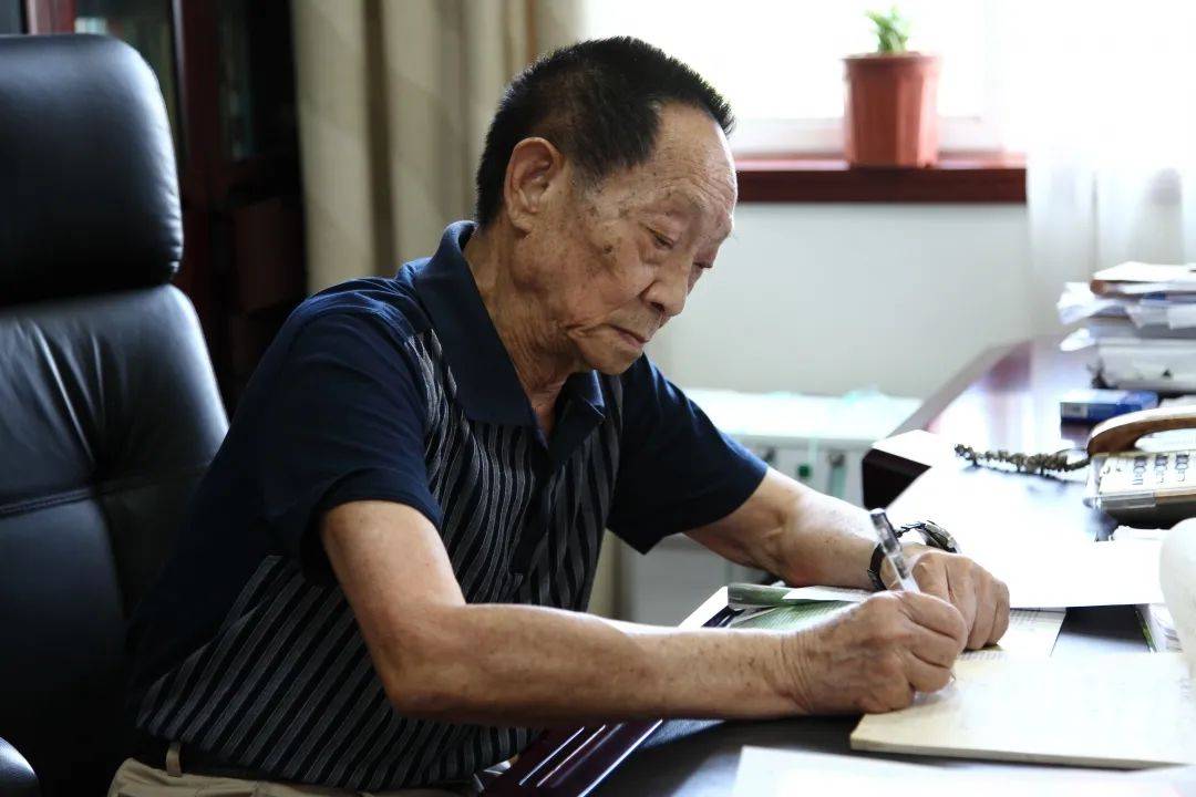 禁区|55年前，袁隆平的“叛逆”结论跨过“禁区”“孕育”了杂交水稻