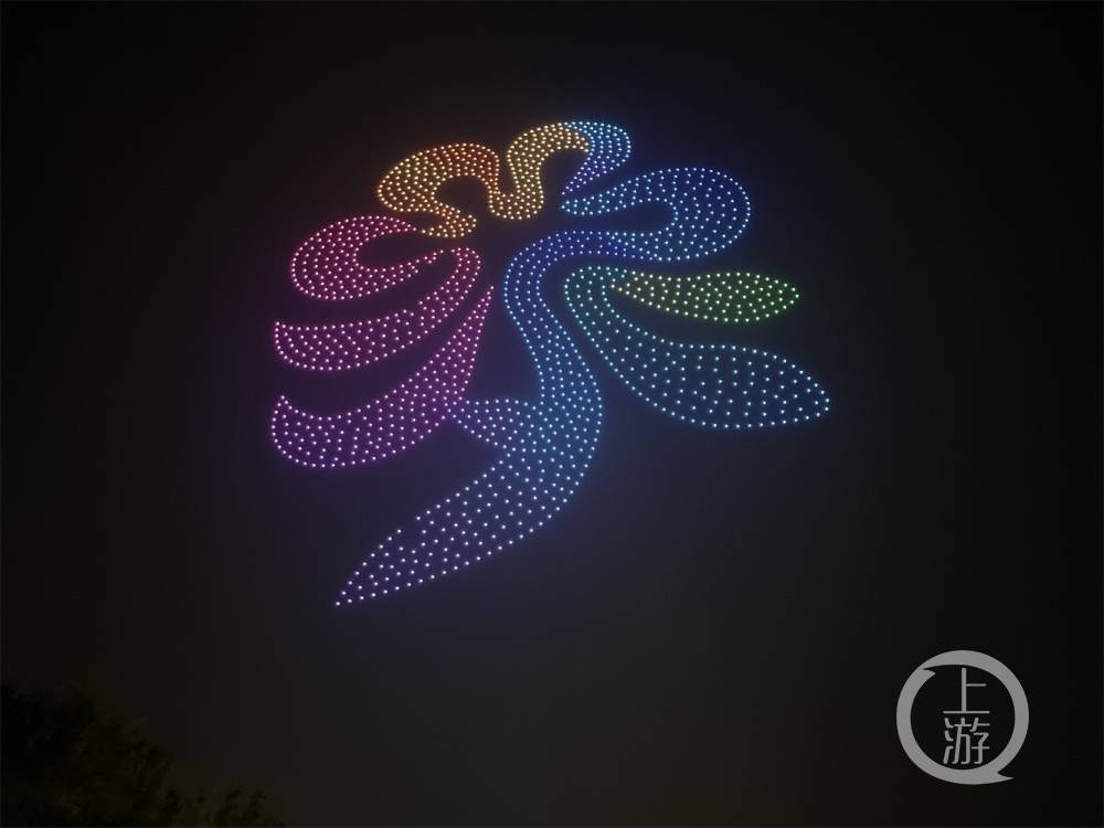 第十届花博会图集|花开盛世 舞动崇明