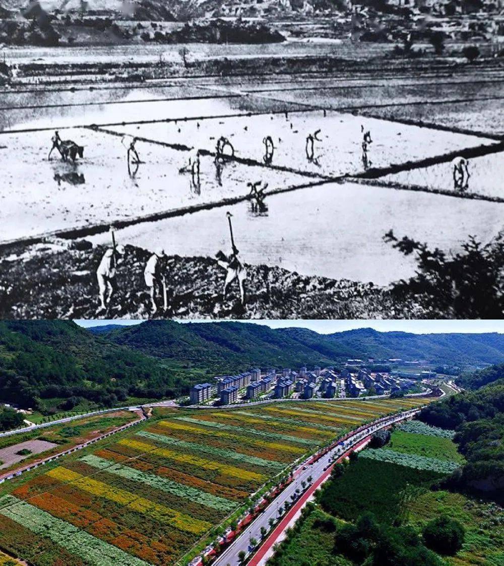 自给保卫党中央"的口号声中,王震率领八路军第三五九旅进驻开垦南泥湾