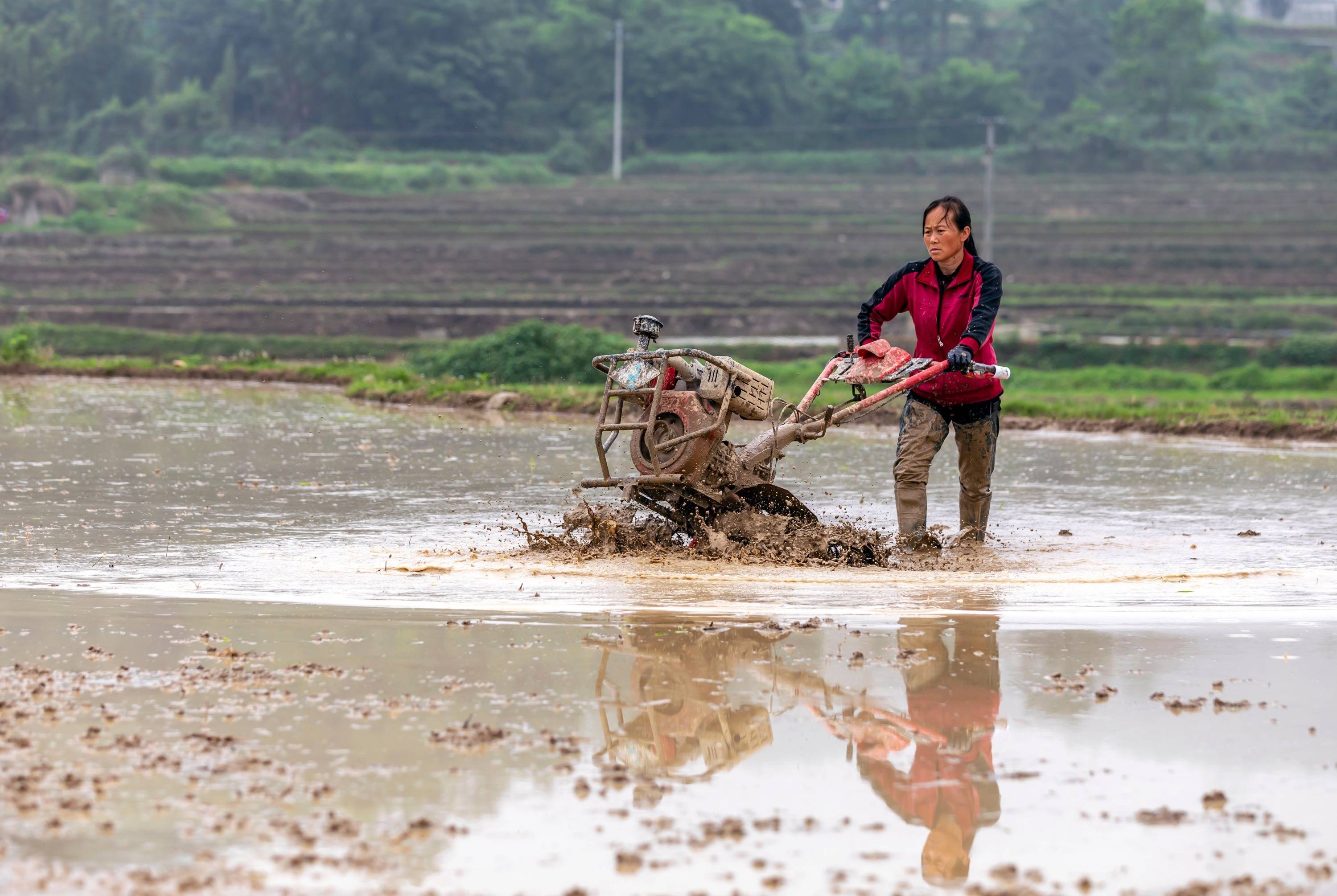 贵州黔西:小满农忙
