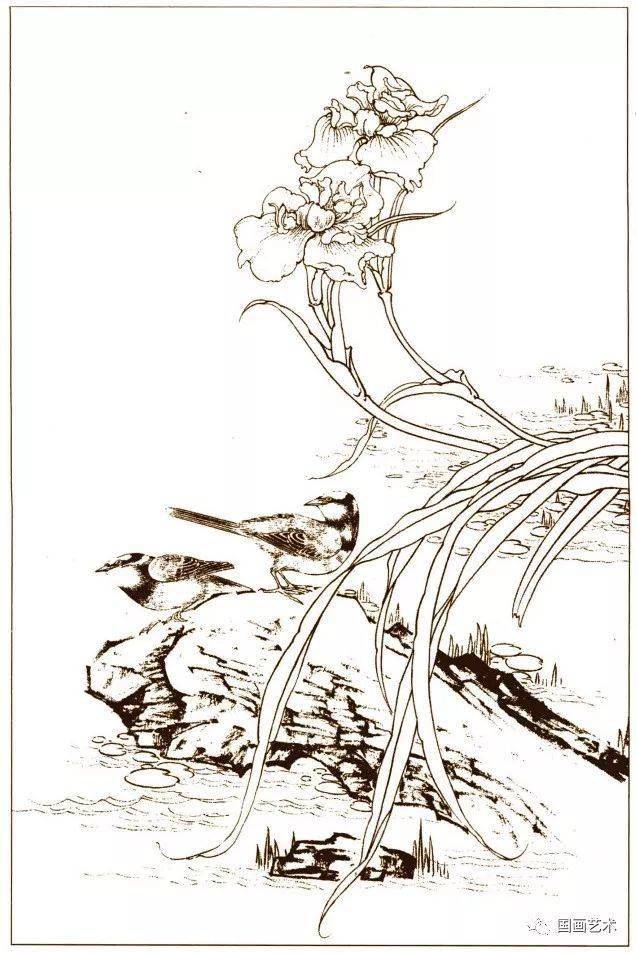 小鸡小鸡的曲谱_小鸡卡通图片(3)