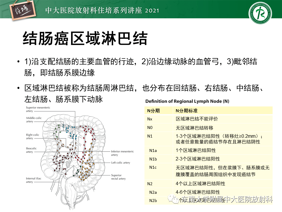 结肠淋巴结分组图片