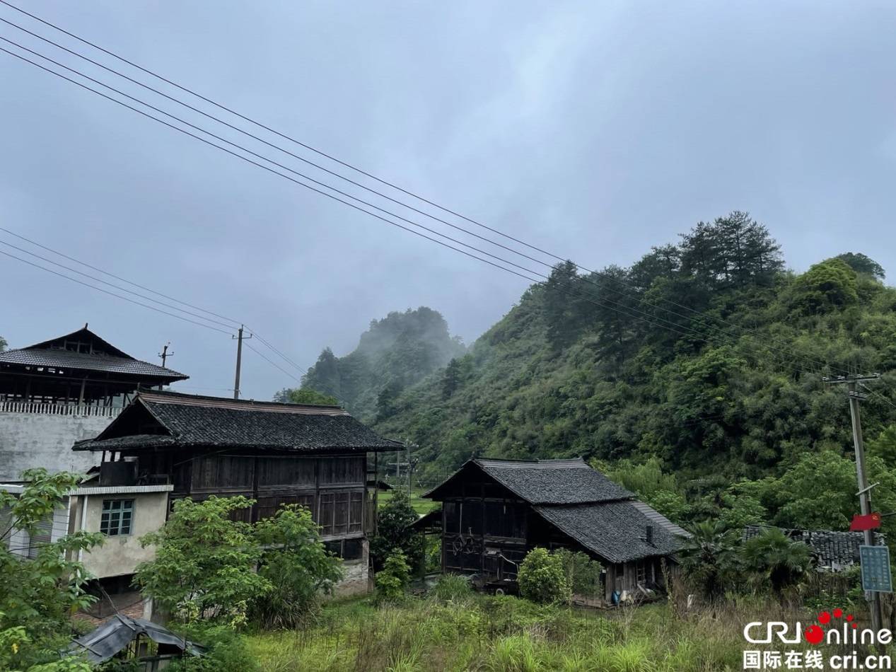 "红色 农旅"打卡地 小水村乡村振兴新篇章