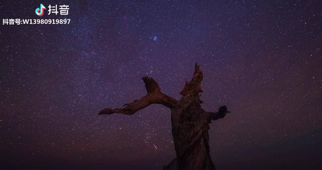 都市裡燈火通明哪一盞燈光為你而留星空下夢幻璀璨哪一顆星星為你而亮