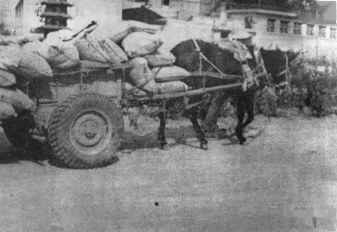 枣庄的交通出行方式总有一款适合你