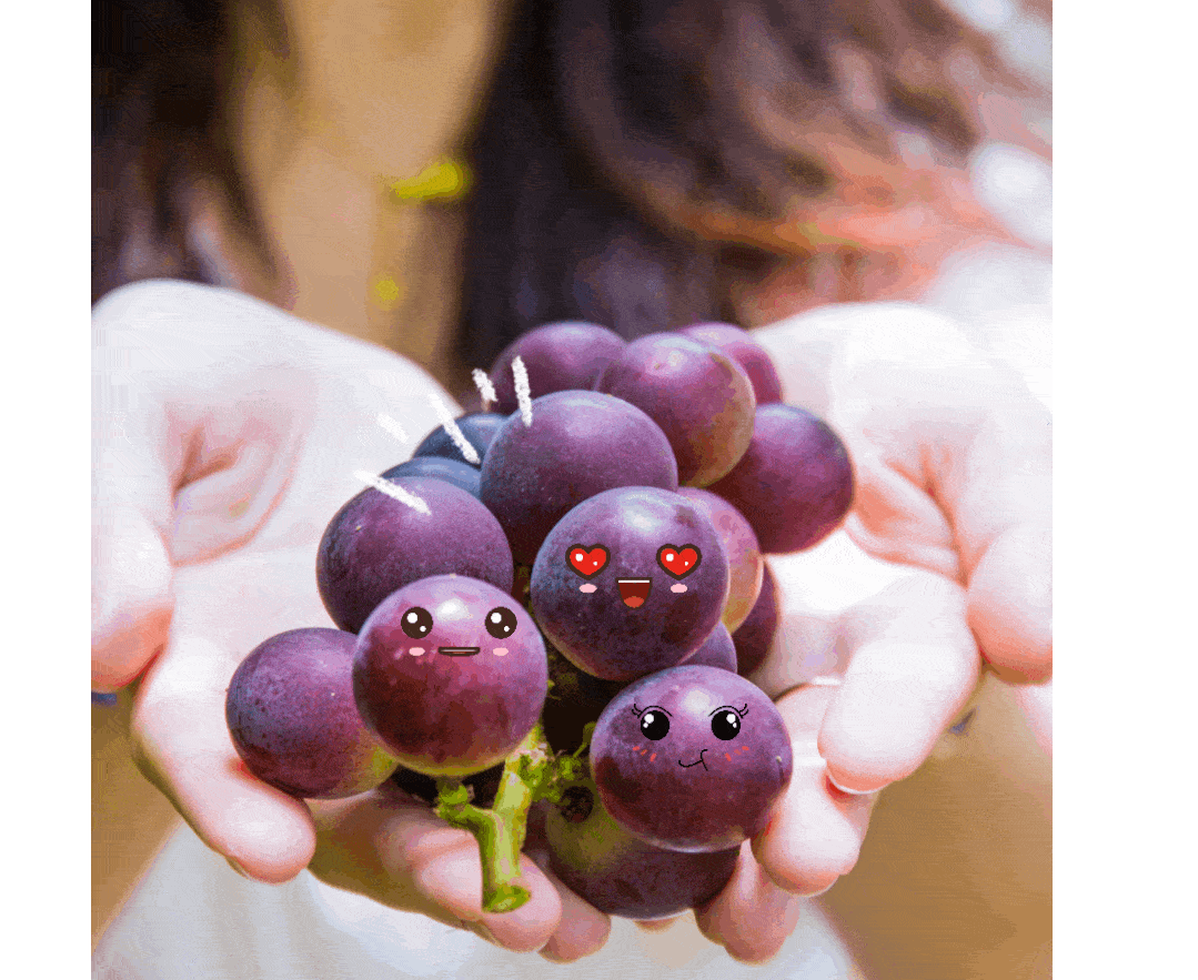 白藤湖的葡萄为什么这么甜竟和一个斗门男仔有关