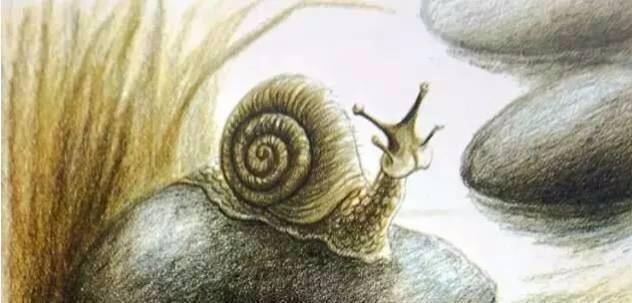 蜗牛的秘密300字以上 f7d228d108614de8847be92f2699339d.jpeg