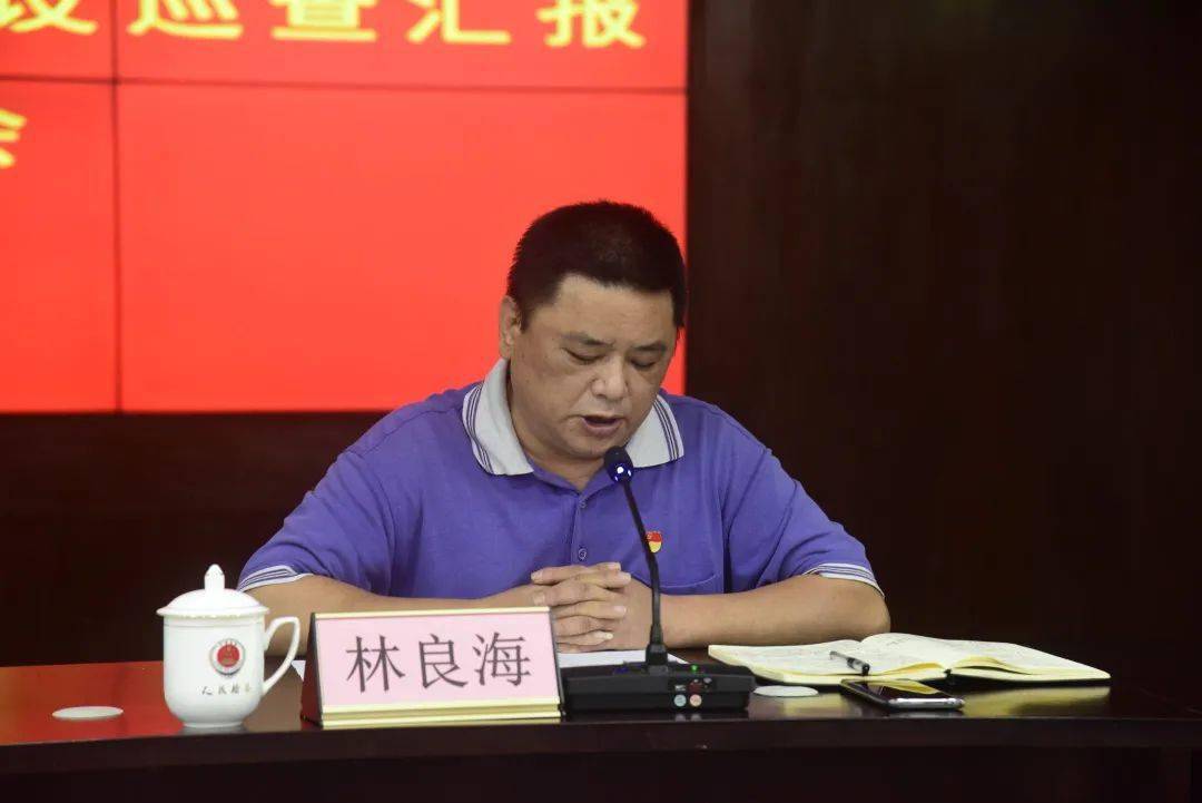 政法队伍教育整顿区委政法队伍教育整顿队伍建设第三巡