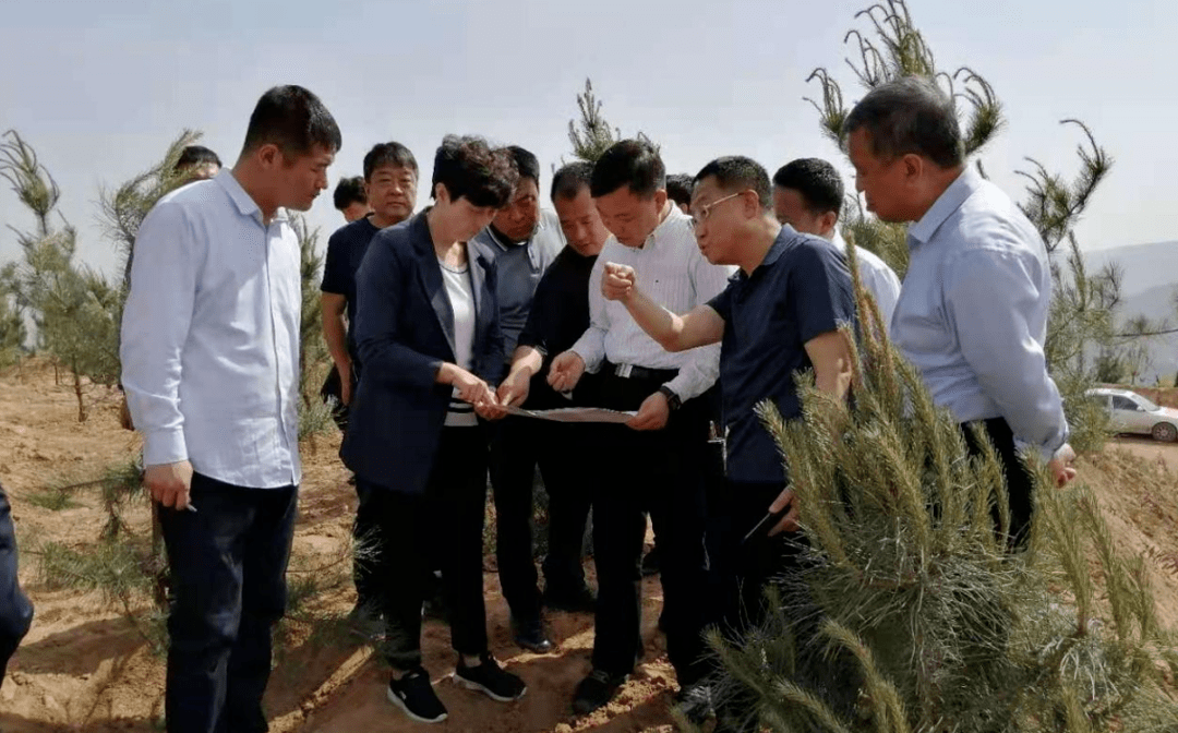 汾西县委书记张安文:加快推进矿山复绿和生态修复治理工作