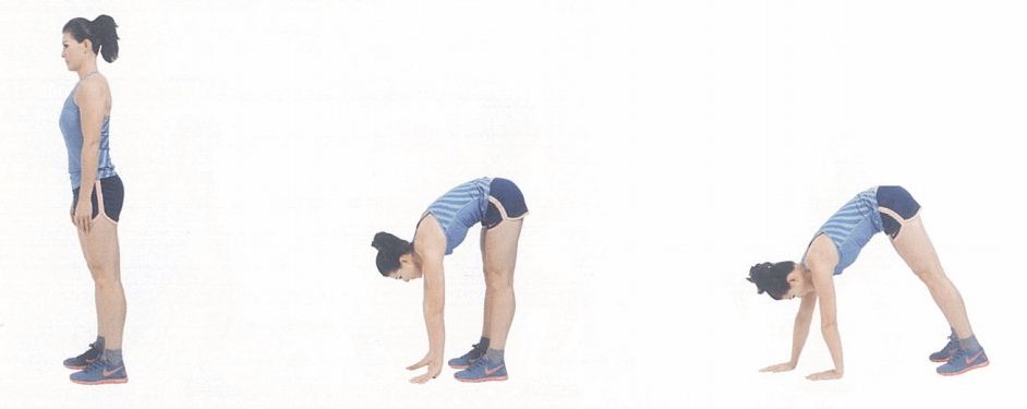 动作姿势:直立正常站位,两脚比肩稍窄,背部挺直,腹部收紧,双臂自然垂
