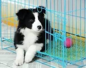 fc8bb006fb2a497f832020ce5842c0cd.jpeg