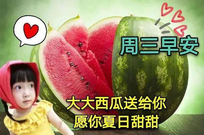 初夏清晨早上好问候语动态表情图片最美的早上好问候祝福语发朋友