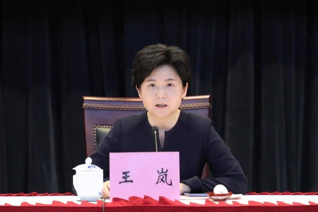 针对今年全区精神文明建设工作,王岚表示,要更加注重加强思想引领