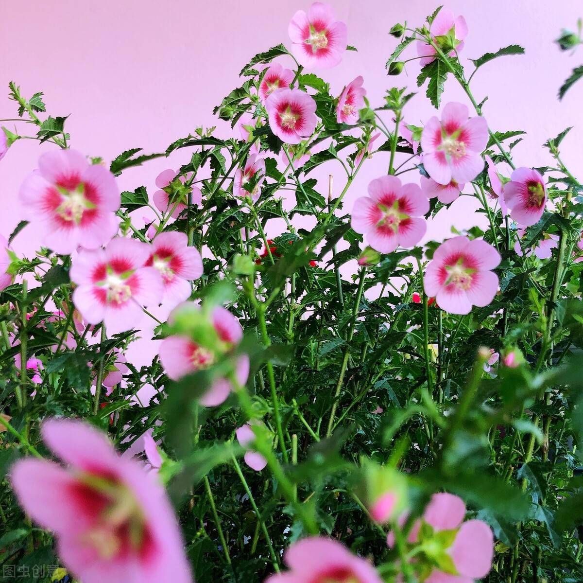 5bf7e2718d0a43578ab95fae85d570c5.jpeg