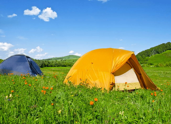 六一特惠草坪露营小动物喂养学航空知识就来御泽翔云