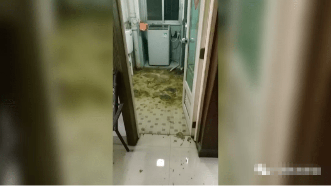 南宁呕楼上乱扔垃圾导致四楼的厕所发生堵塞结果粪便外溢涌下楼